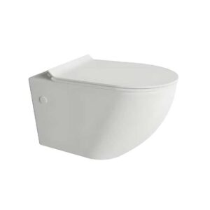 Toilet Bowl