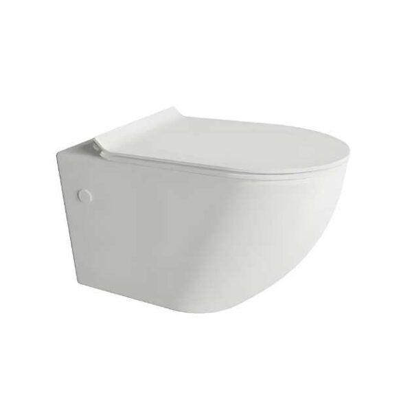 Toilet Bowl