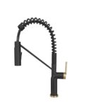 Matte black pull down kitchen faucet