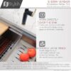 pd1p_NEt