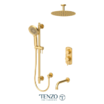 3 function shower system