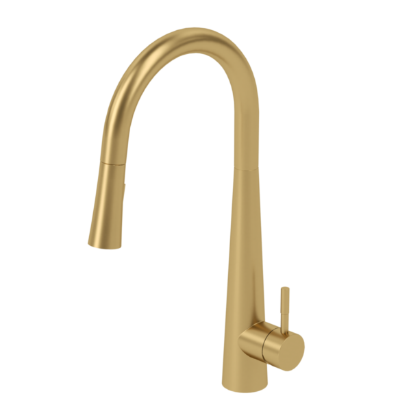 Single-handle kitchen faucet Aviva with pull-down & 2-Function hand shower brushed gold
