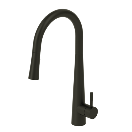 Single-handle kitchen faucet Aviva with pull-down & 2-Function hand shower matte black