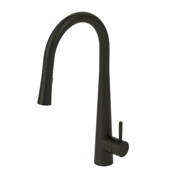 Single-handle kitchen faucet Aviva with pull-down & 2-Function hand shower matte black