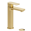 Delano single hole tall lavatory faucet brushed gold with (overflow) drain