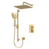 Delano T-Box kit 2 functions pres bal brushed gold finish
