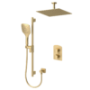 Delano T-Box kit 2 functions pres bal brushed gold finish