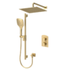 Delano T-Box kit 2 functions thermo brushed gold finish