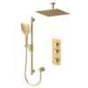 Delano Extenza kit 2 functions thermo brushed gold finish