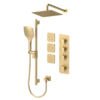 Delano Extenza kit 3 functions thermo brushed gold finish