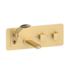 Wall mount tub faucet with retractable hose Delano brushed gold