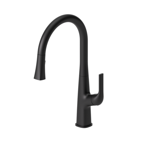 Single-handle kitchen faucet Felicia with pull-down & 2-Function hand shower matte black