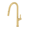 Single-handle kitchen faucet Lotus with pull-down & 2-Function hand shower brushed gold