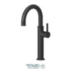 Alyss single hole tall lavatory faucet matte black