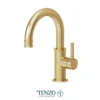 Alyss single hole lavatory faucet brushed gold