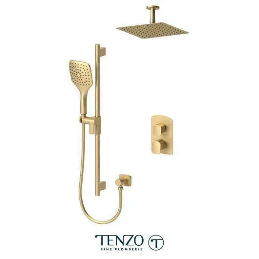 Delano T-Box kit 2 functions pres bal brushed gold finish