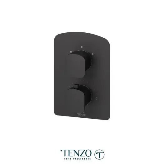 Delano T-Box valve 2 functions thermo matte black finish