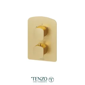 Delano T-Box valve 2 functions thermo brushed gold finish