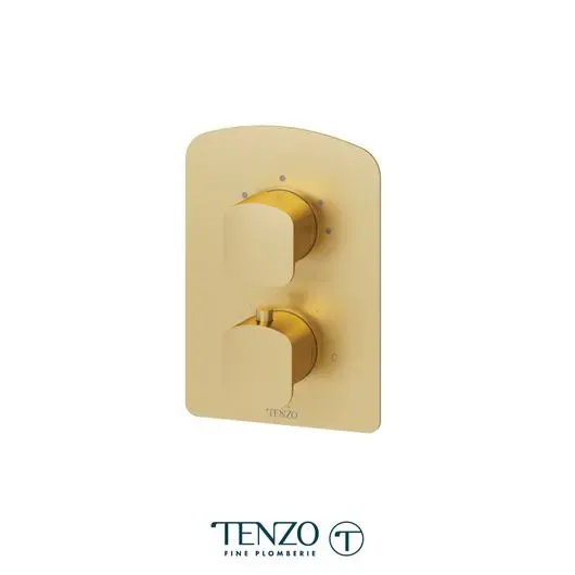 Delano T-Box valve 3 functions thermo brushed gold finish