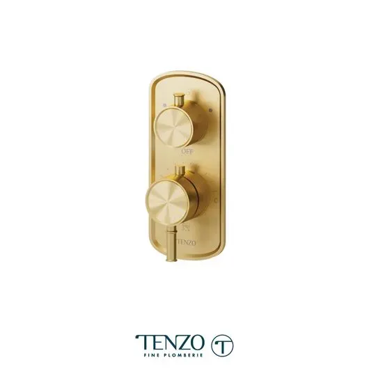 Alyss T-Box valve 2 functions thermo brushed gold finish