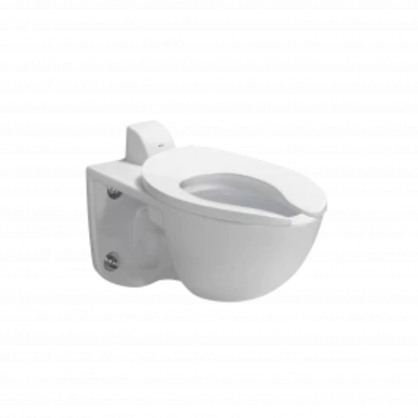 Wall-Hung Toilet