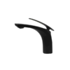 EVA Single Hole Bathroom Faucet