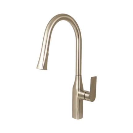 TIMELYSS Pull-down Dual Spray Kitchen Faucet