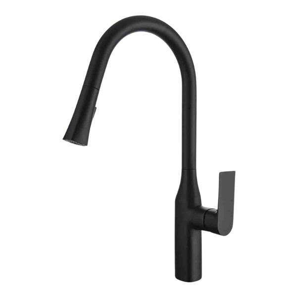 TIMELYSS Pull-down Dual Spray Kitchen Faucet