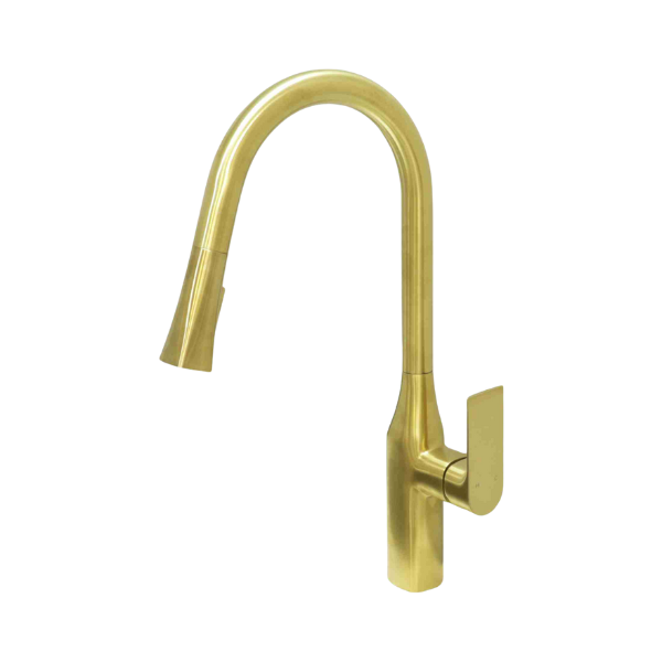 TIMELYSS Pull-down Dual Spray Kitchen Faucet