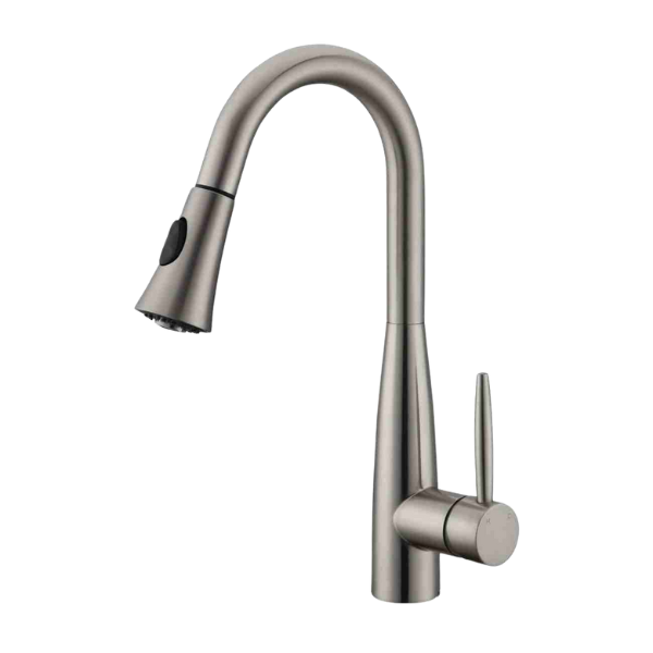 DAVISON Pull-down Dual Spray Kitchen Faucet