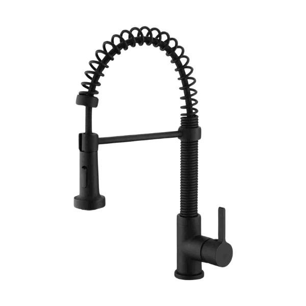 Click to expand EDISON Pull-out Dual Spray Kitchen Faucet
