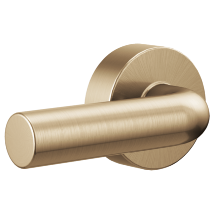 Litze flush lever
