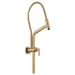 Brizo slide bar shower arm