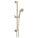 Brizo Beauclere multi-function hand shower