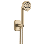 Brizo Beauclere multi-function hand shower