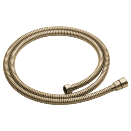Brizo Essential Shower Series hose