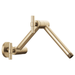 Brizo jointed shower arm