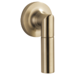 Brizo Odin flush lever