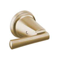 Wall Mount Lavatory Lever Handle Kit HL5898-GL