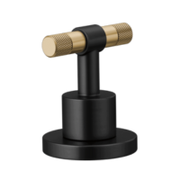 Widespread Handle Kit - T-Lever HL5333-BLGL-NM
