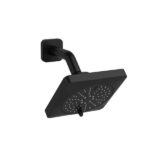 5" 6-Function Showerhead With Arm - Black | Model Number: 376BK-WS