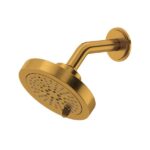 5" 6-Function Showerhead With Arm - Brushed Gold | Model Number: 386BG-WS
