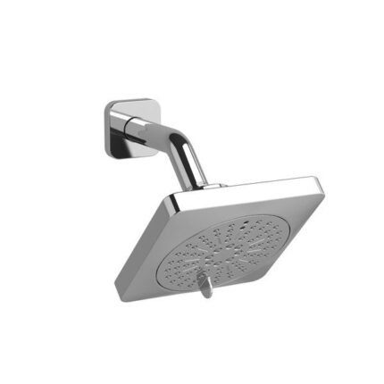 5" 6-Function Showerhead With Arm - Chrome | Model Number: 376C
