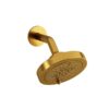 6" 6-Function Showerhead With Arm - Brushed Gold | Model Number: 366BG-WS