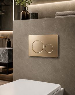 Flush Plate