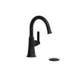 Momenti™ Single Handle Lavatory Faucet With C-Spout BK