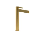 Paradox™ Single Handle Tall Lavatory Faucet | Model Number: PXL01BG