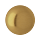Brushed Gold-WS
