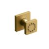 Single Function Body Spray - Brushed Gold | Model Number: 350BG