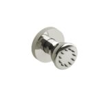 Single Function Body Spray - Polished Nickel | Model Number: 390PN